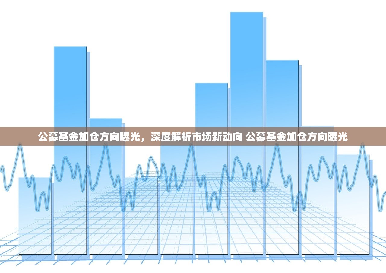公募基金加仓方向曝光，深度解析市场新动向 公募基金加仓方向曝光