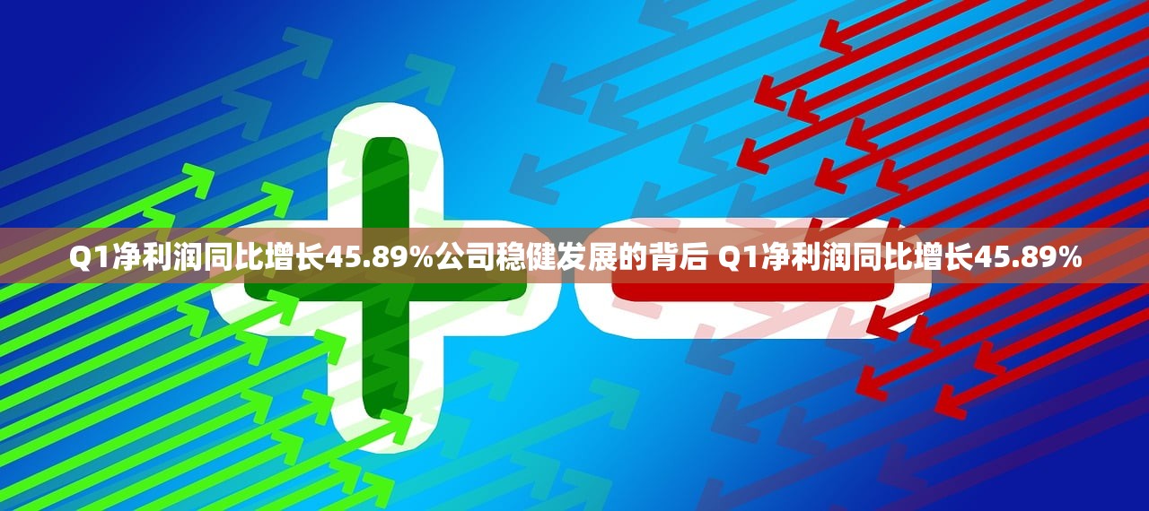 Q1净利润同比增长45.89%公司稳健发展的背后 Q1净利润同比增长45.89%