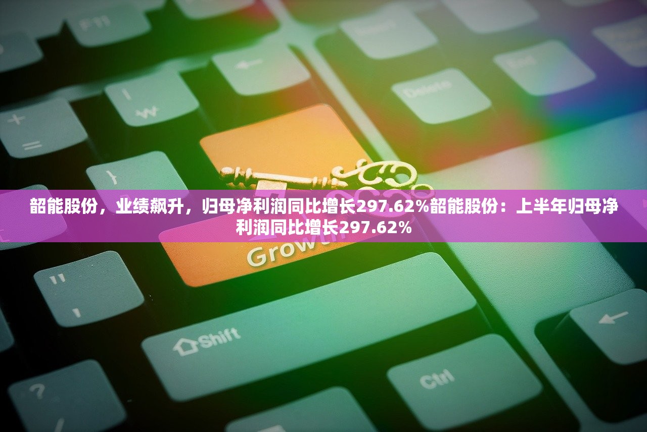 韶能股份，业绩飙升，归母净利润同比增长297.62%韶能股份：上半年归母净利润同比增长297.62%