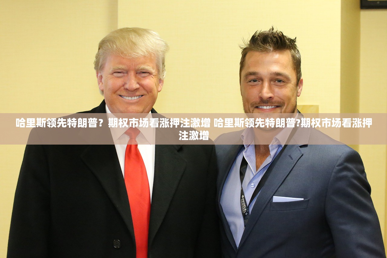 哈里斯领先特朗普？期权市场看涨押注激增 哈里斯领先特朗普?期权市场看涨押注激增