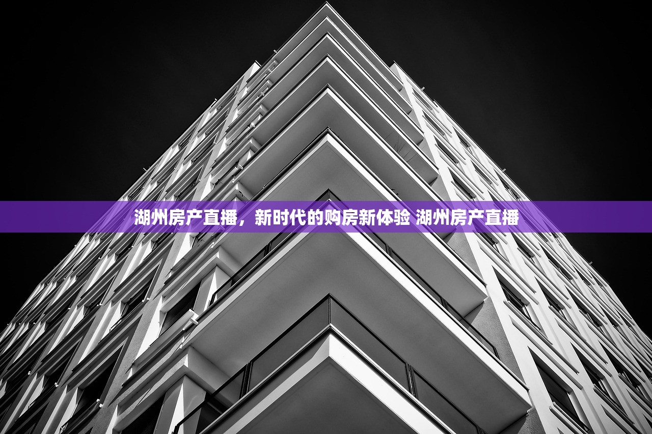 湖州房产直播，新时代的购房新体验 湖州房产直播