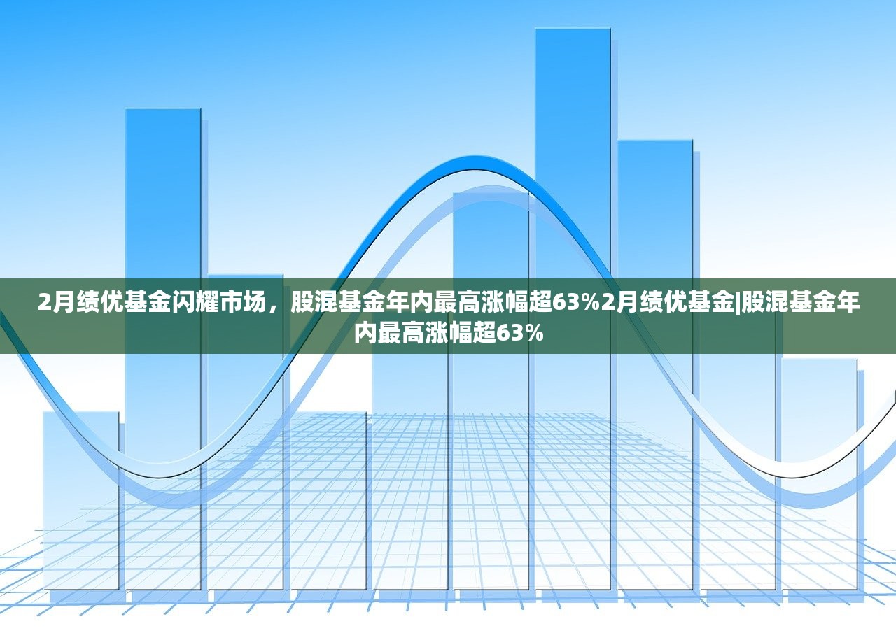2月绩优基金闪耀市场，股混基金年内最高涨幅超63%2月绩优基金|股混基金年内最高涨幅超63%