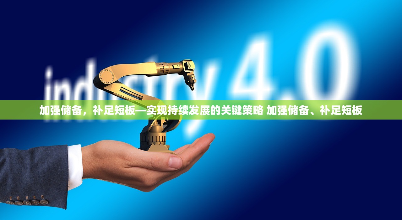 加强储备，补足短板—实现持续发展的关键策略 加强储备、补足短板