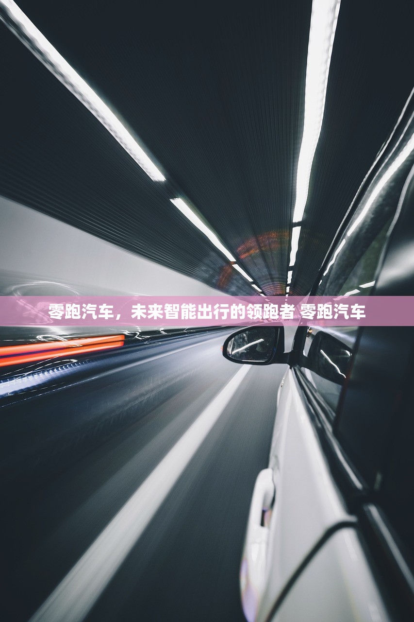 零跑汽车，未来智能出行的领跑者 零跑汽车
