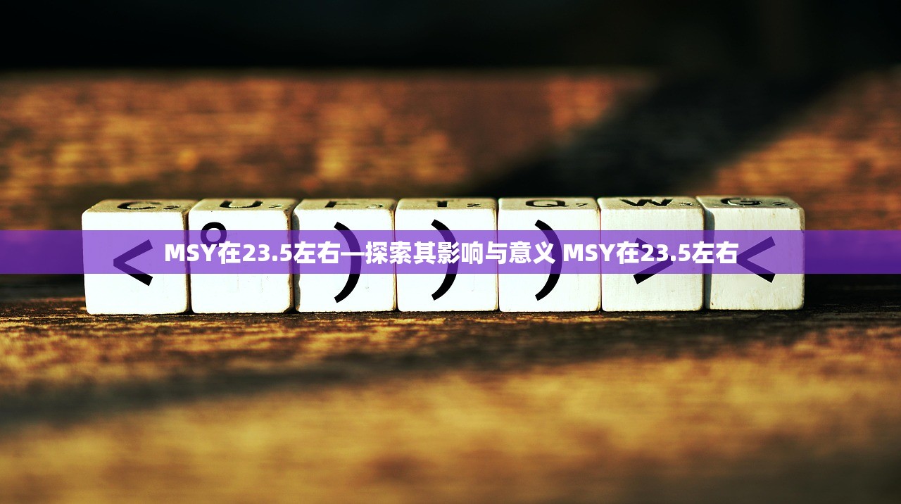 MSY在23.5左右—探索其影响与意义 MSY在23.5左右 MSY在23.5左右—探索其影响与意义 MSY在23.5左右