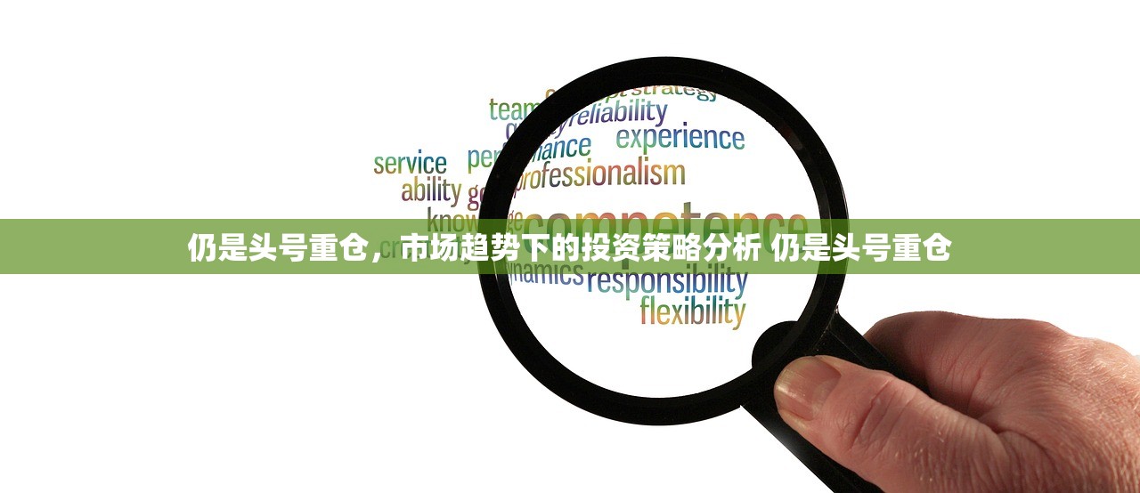 仍是头号重仓，市场趋势下的投资策略分析 仍是头号重仓