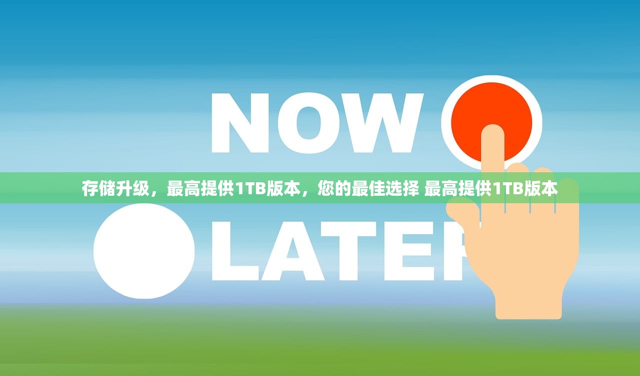 存储升级，最高提供1TB版本，您的最佳选择 最高提供1TB版本