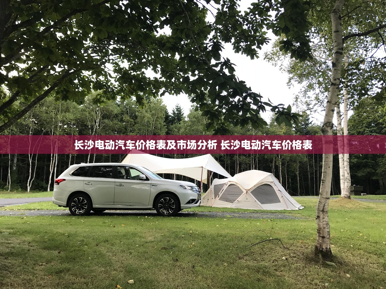 长沙电动汽车价格表及市场分析 长沙电动汽车价格表 长沙电动汽车价格表及市场分析 长沙电动汽车价格表