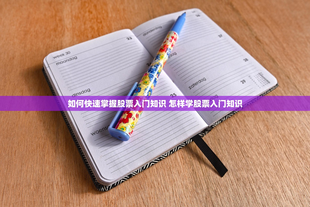 如何快速掌握股票入门知识 怎样学股票入门知识