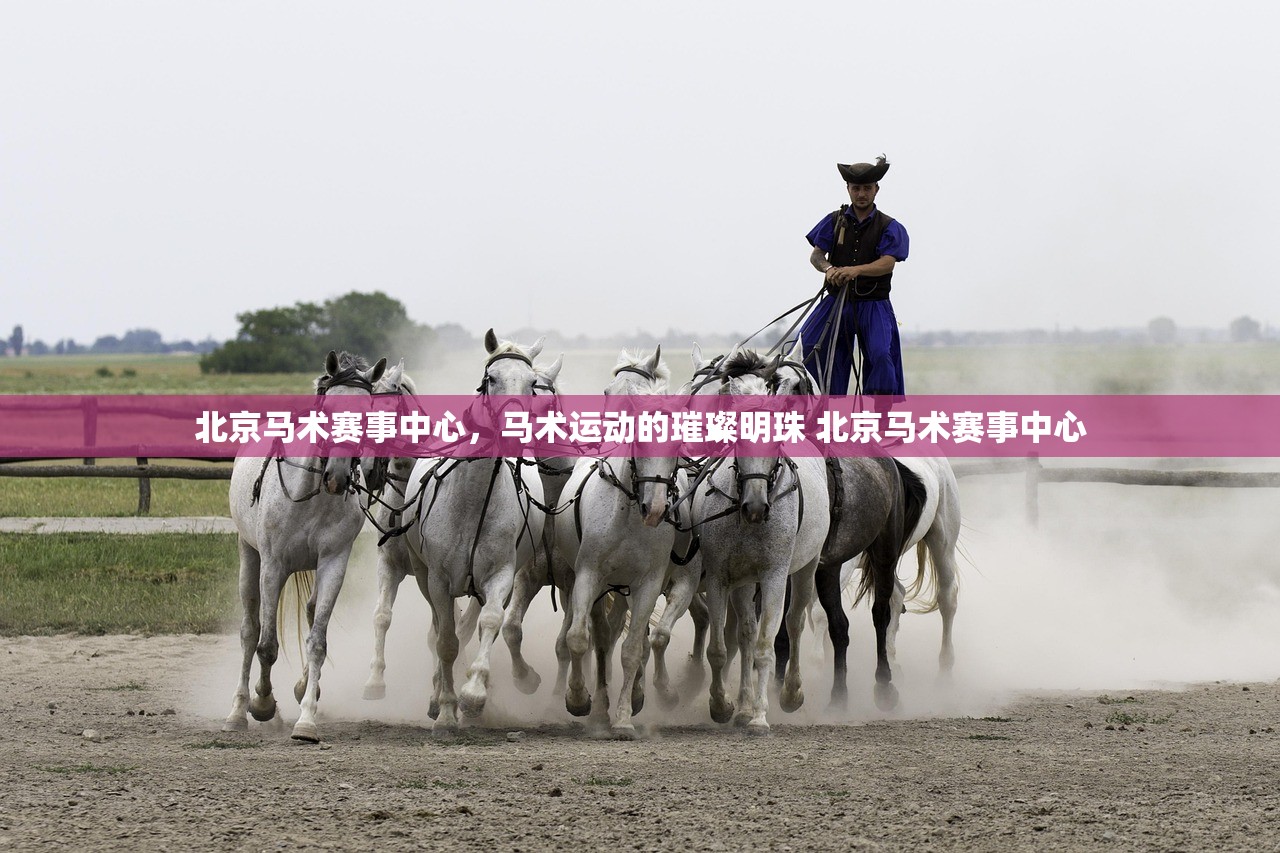 北京马术赛事中心，马术运动的璀璨明珠 北京马术赛事中心