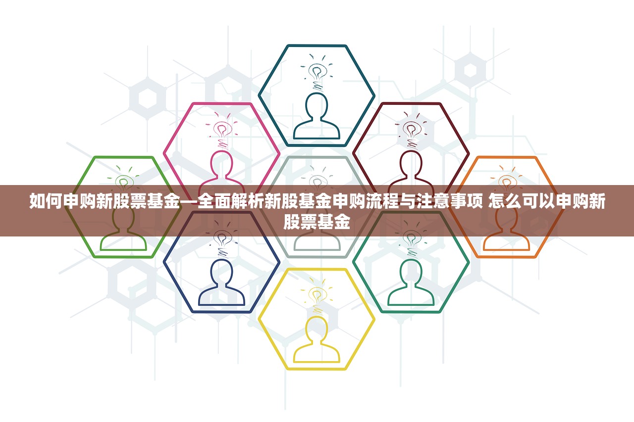 如何申购新股票基金—全面解析新股基金申购流程与注意事项 怎么可以申购新股票基金