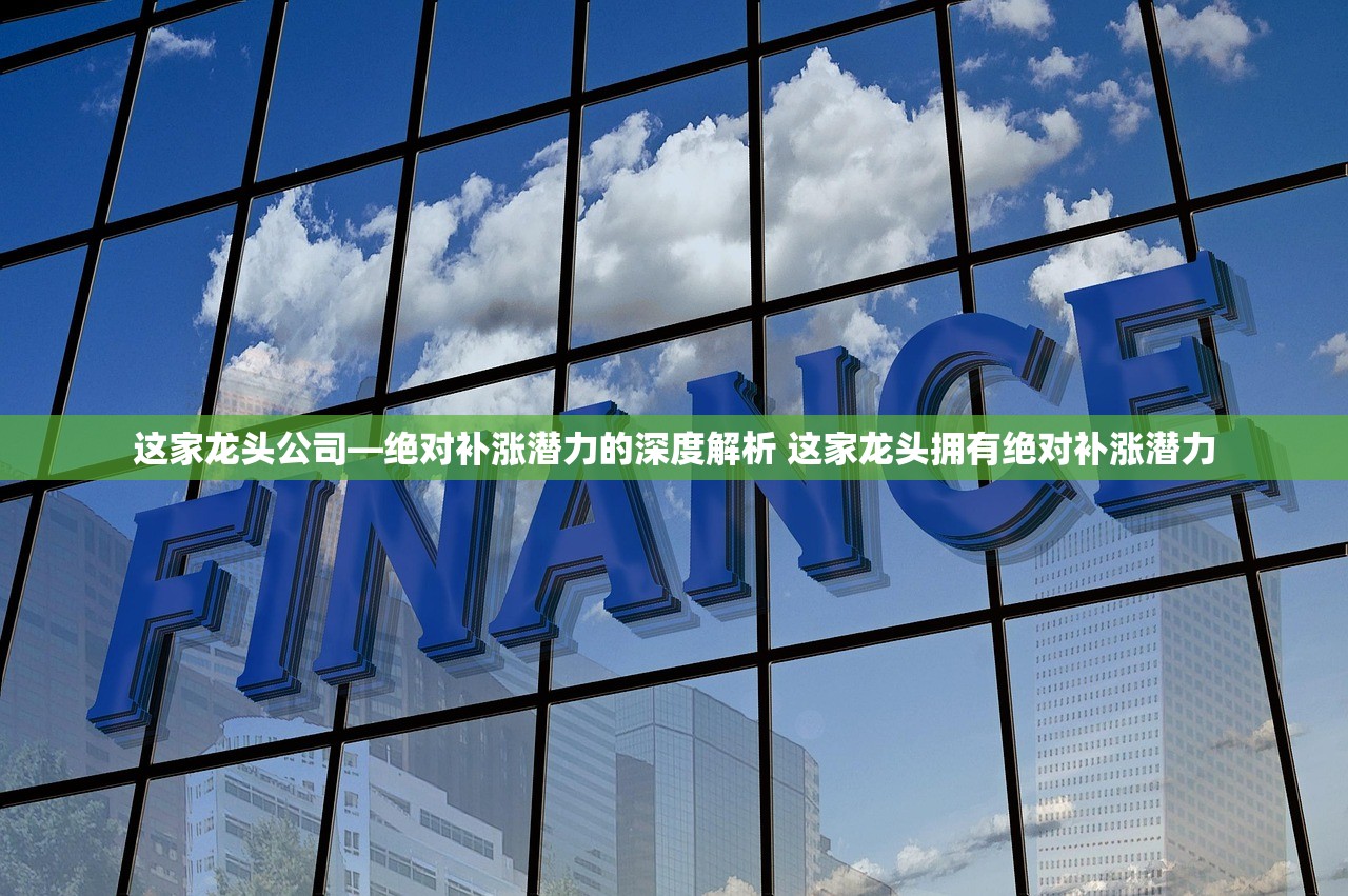 这家龙头公司—绝对补涨潜力的深度解析 这家龙头拥有绝对补涨潜力