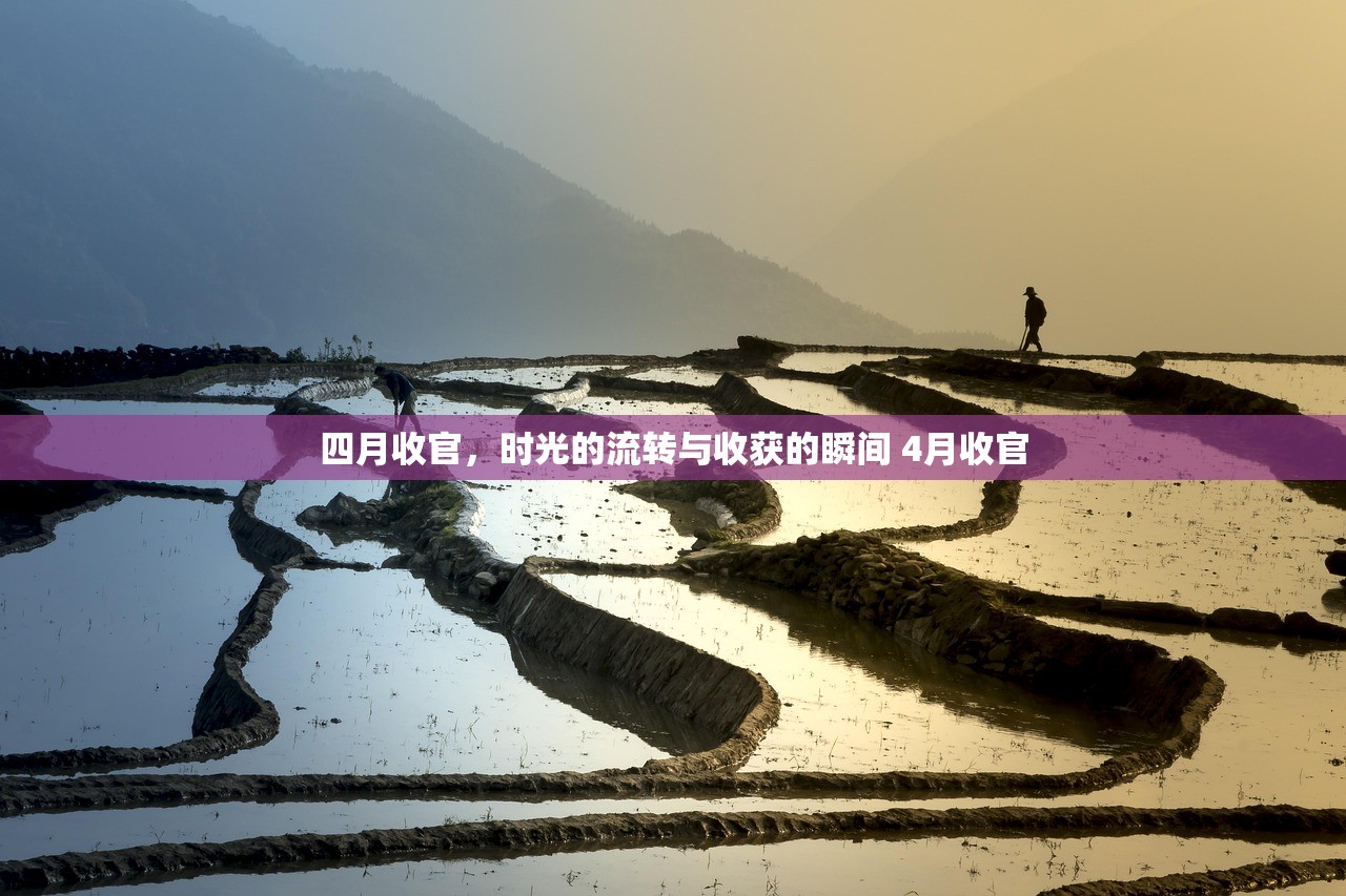 四月收官，时光的流转与收获的瞬间 4月收官