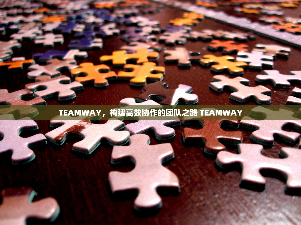 TEAMWAY，构建高效协作的团队之路 TEAMWAY