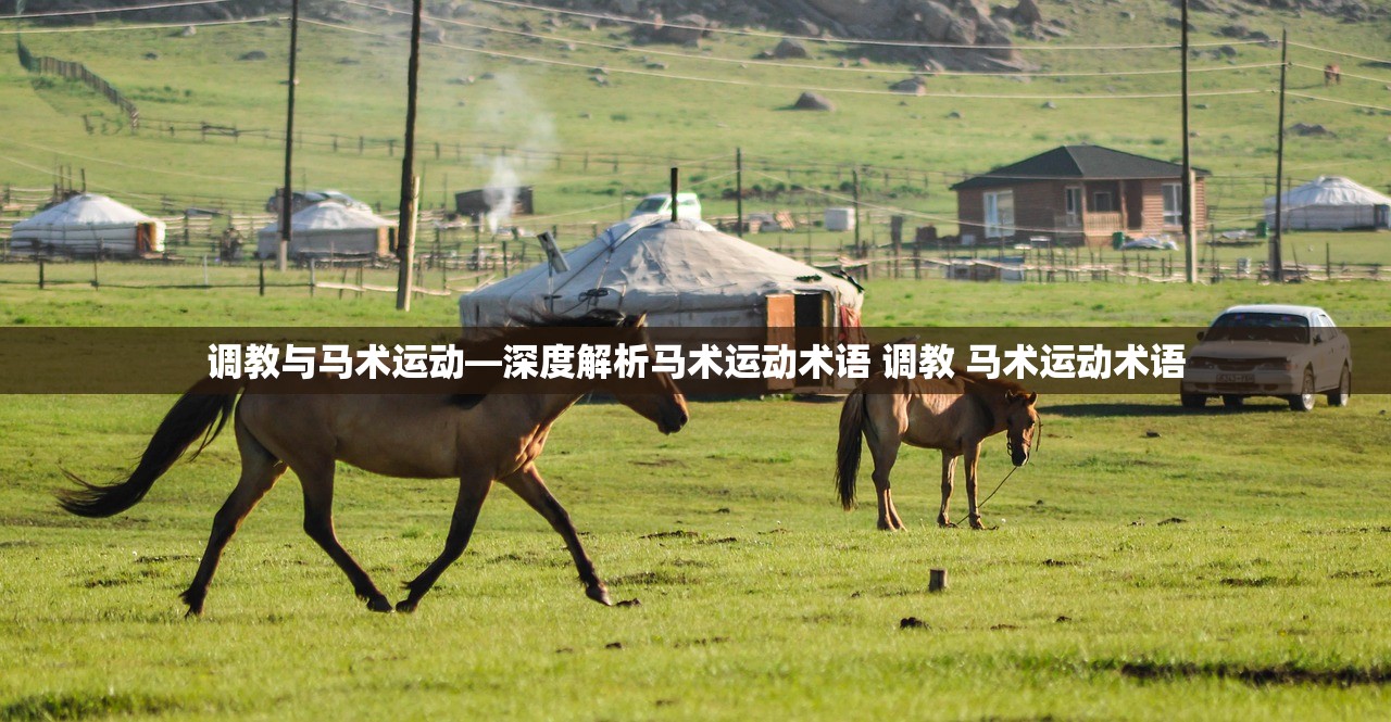 调教与马术运动—深度解析马术运动术语 调教 马术运动术语