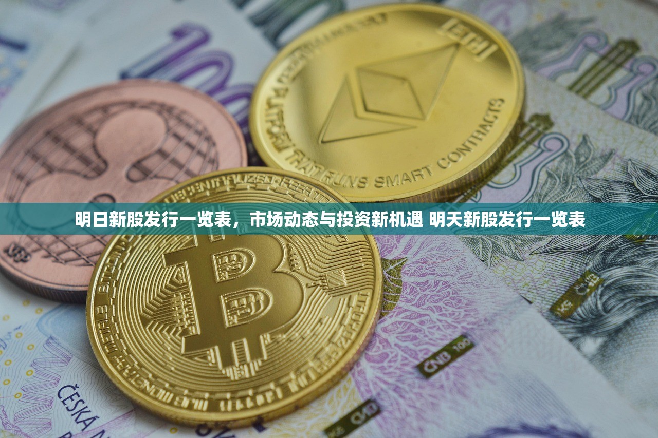 明日新股发行一览表,市场动态与投资新机遇 明天新股发行一览表 明日新股发行一览表,市场动态与投资新机遇 明天新股发行一览表