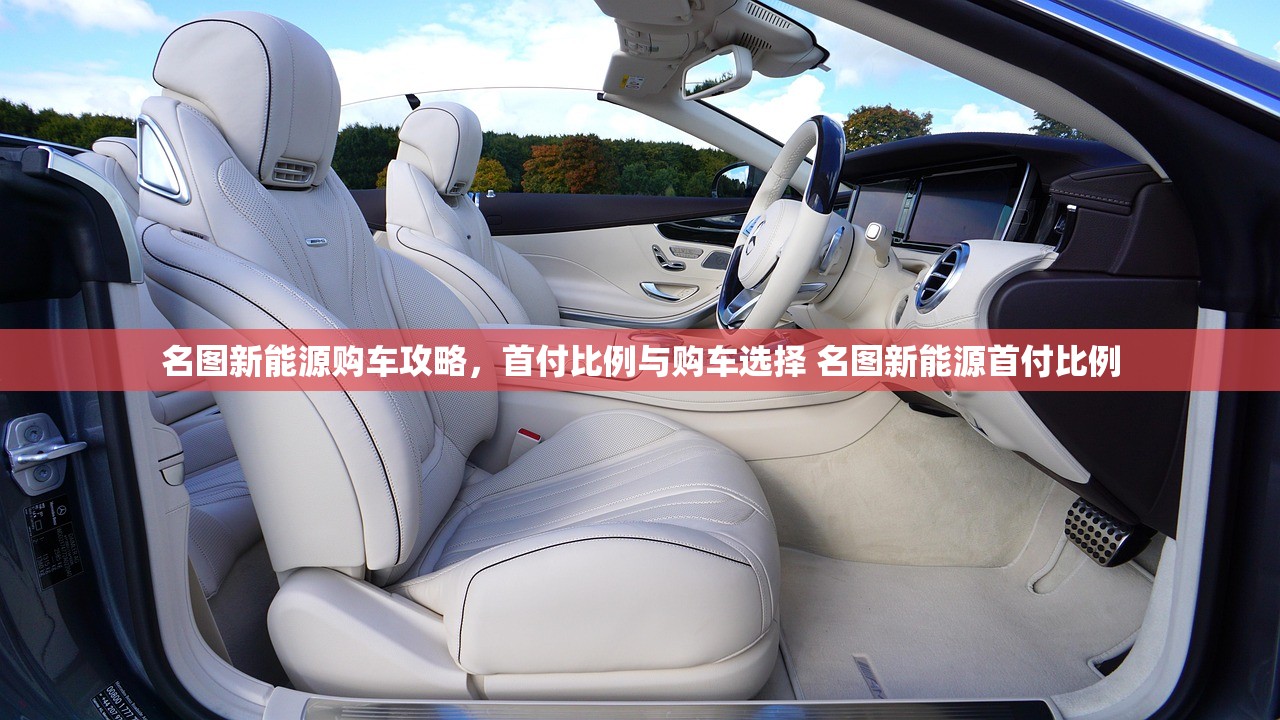 名图新能源购车攻略，首付比例与购车选择 名图新能源首付比例