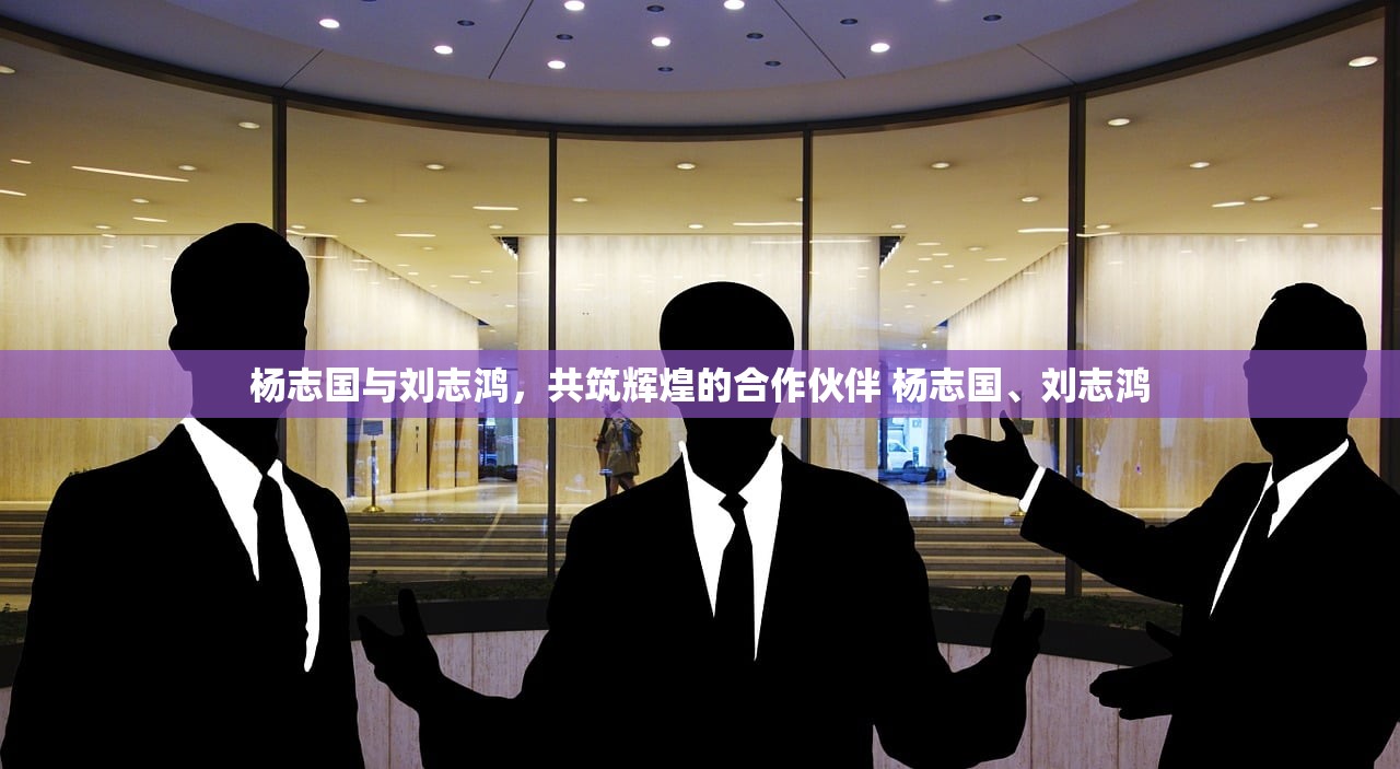 杨志国与刘志鸿，共筑辉煌的合作伙伴 杨志国、刘志鸿