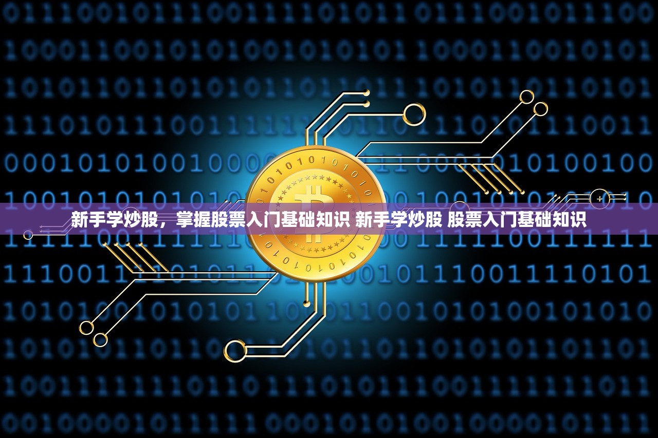 新手学炒股，掌握股票入门基础知识 新手学炒股 股票入门基础知识