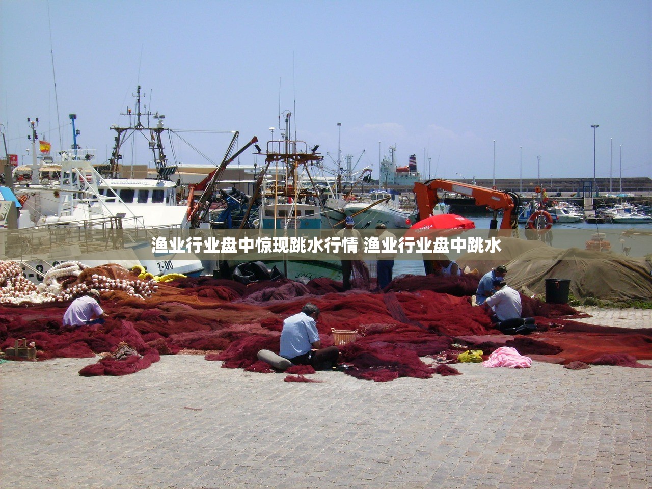 渔业行业盘中惊现跳水行情 渔业行业盘中跳水 渔业行业盘中惊现跳水行情 渔业行业盘中跳水
