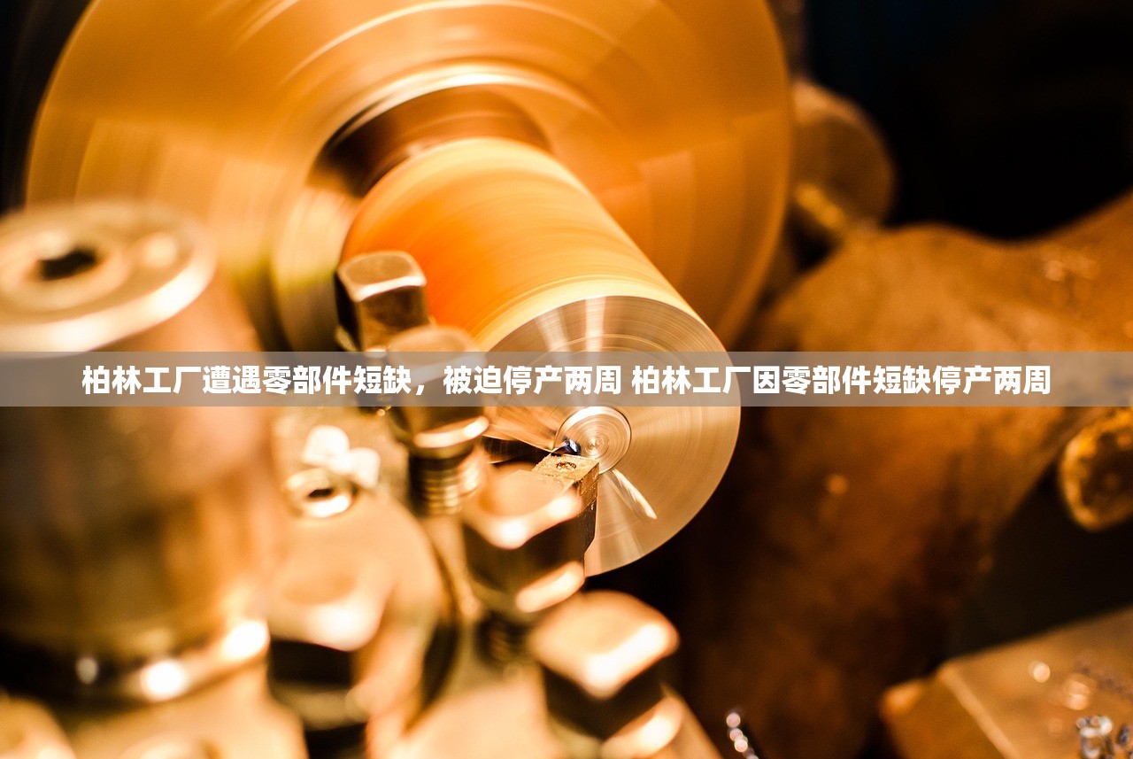柏林工厂遭遇零部件短缺,被迫停产两周 柏林工厂因零部件短缺停产两周 柏林工厂遭遇零部件短缺,被迫停产两周 柏林工厂因零部件短缺停产两周