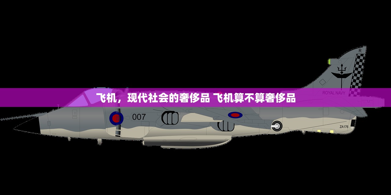 飞机，现代社会的奢侈品 飞机算不算奢侈品