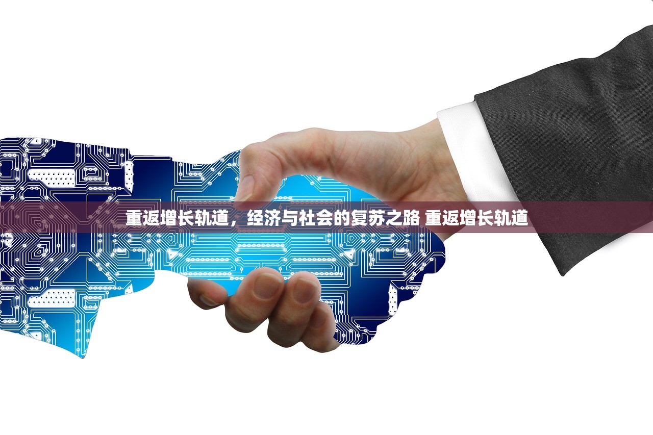 重返增长轨道，经济与社会的复苏之路 重返增长轨道