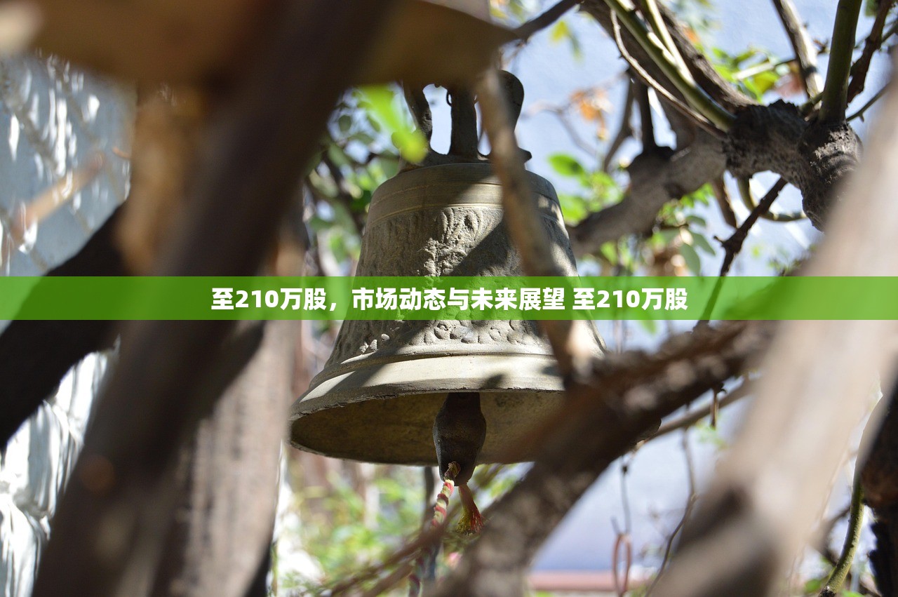 至210万股，市场动态与未来展望 至210万股