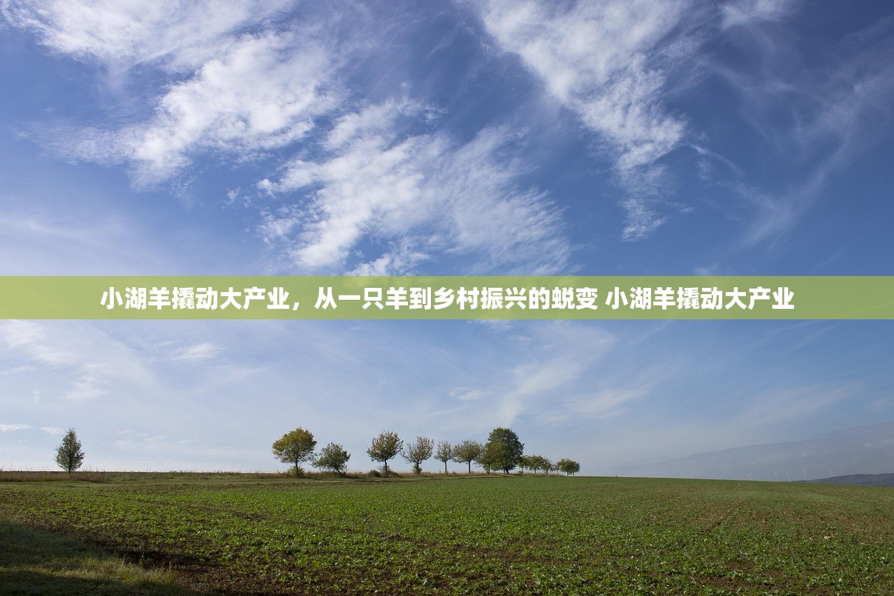 小湖羊撬动大产业，从一只羊到乡村振兴的蜕变 小湖羊撬动大产业