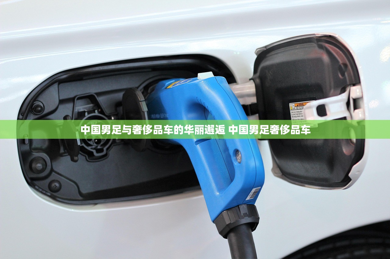 中国男足与奢侈品车的华丽邂逅 中国男足奢侈品车