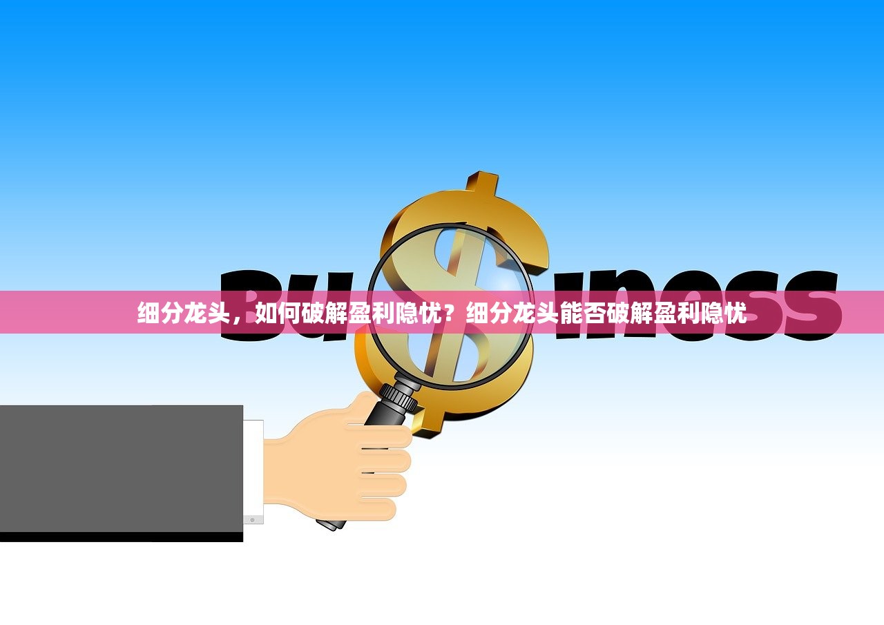 细分龙头，如何破解盈利隐忧？细分龙头能否破解盈利隐忧