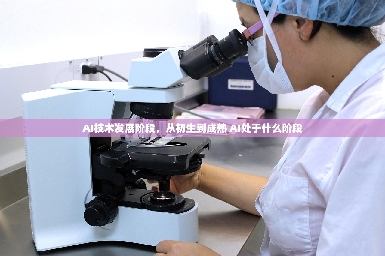 AI技术发展阶段，从初生到成熟 AI处于什么阶段