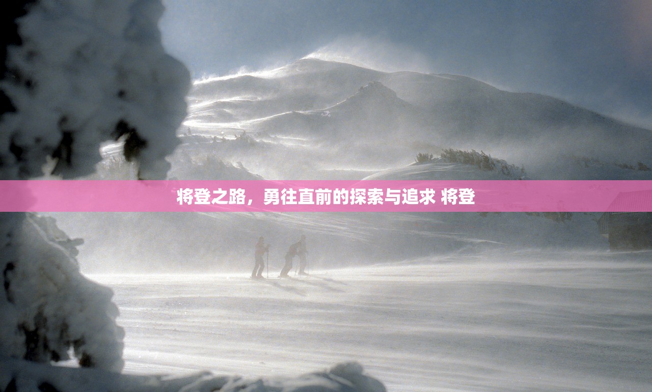 将登之路，勇往直前的探索与追求 将登