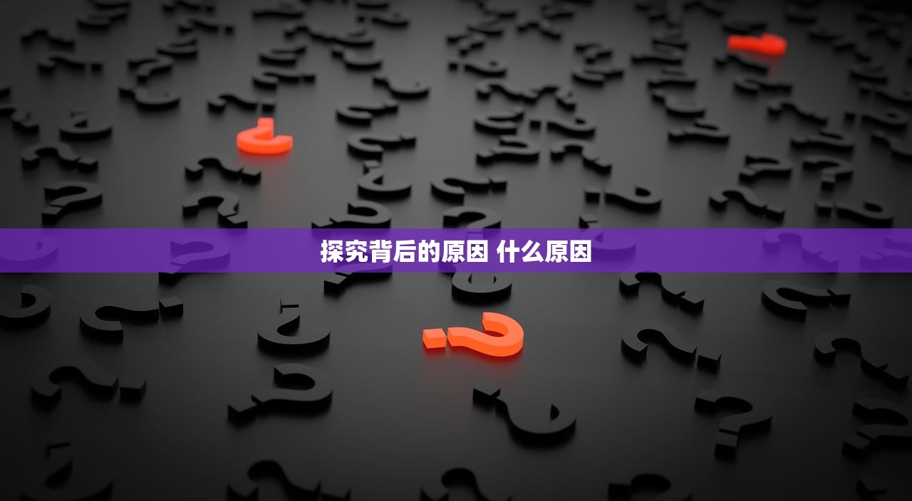 探究背后的原因 什么原因