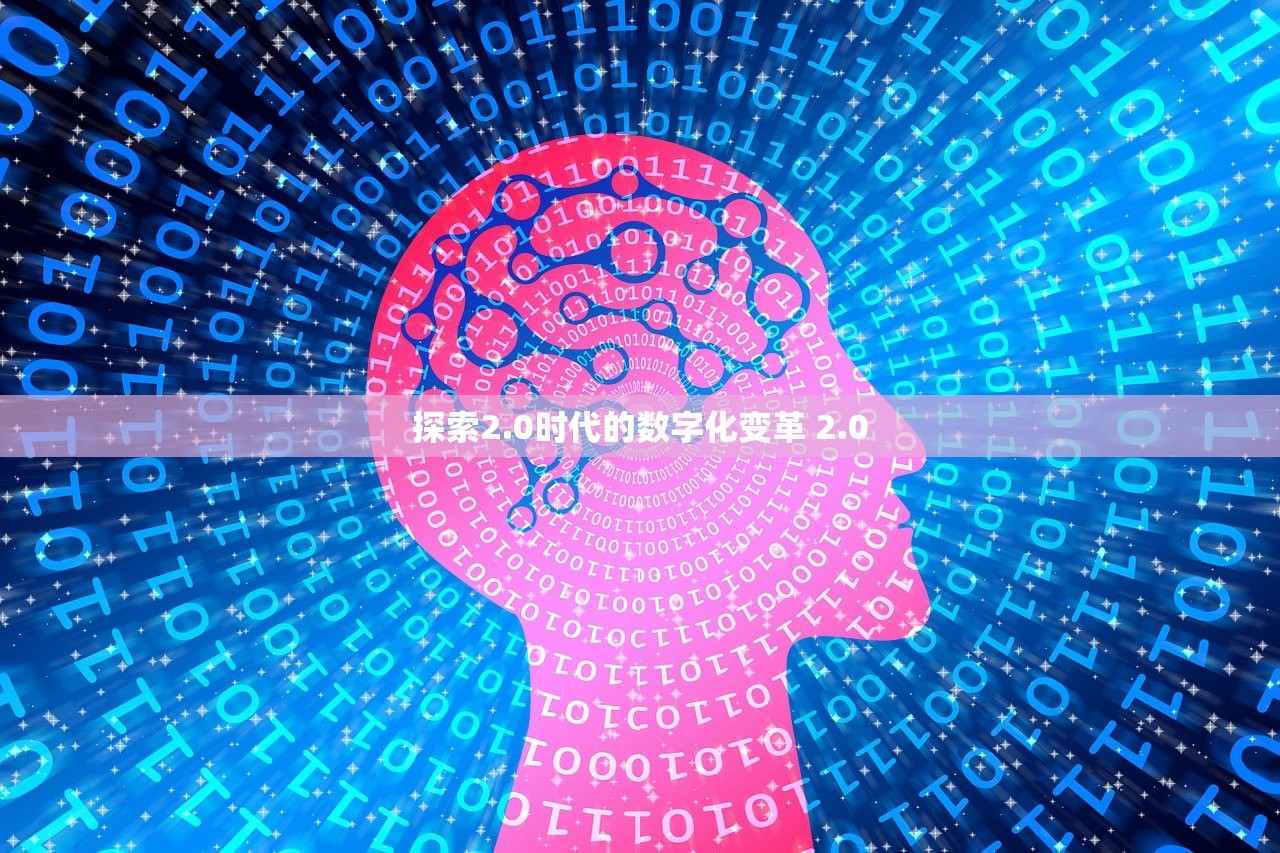 探索2.0时代的数字化变革 2.0 探索2.0时代的数字化变革 2.0