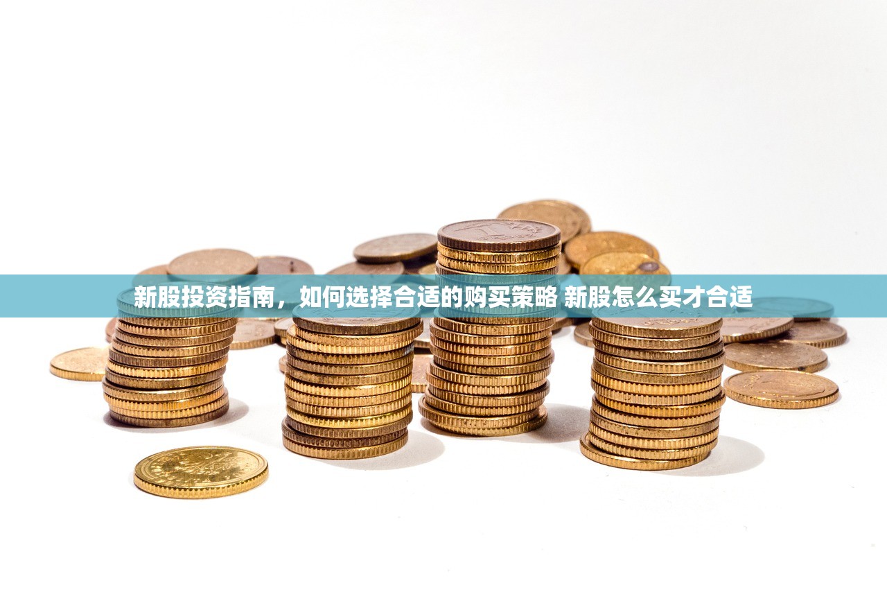 新股投资指南，如何选择合适的购买策略 新股怎么买才合适