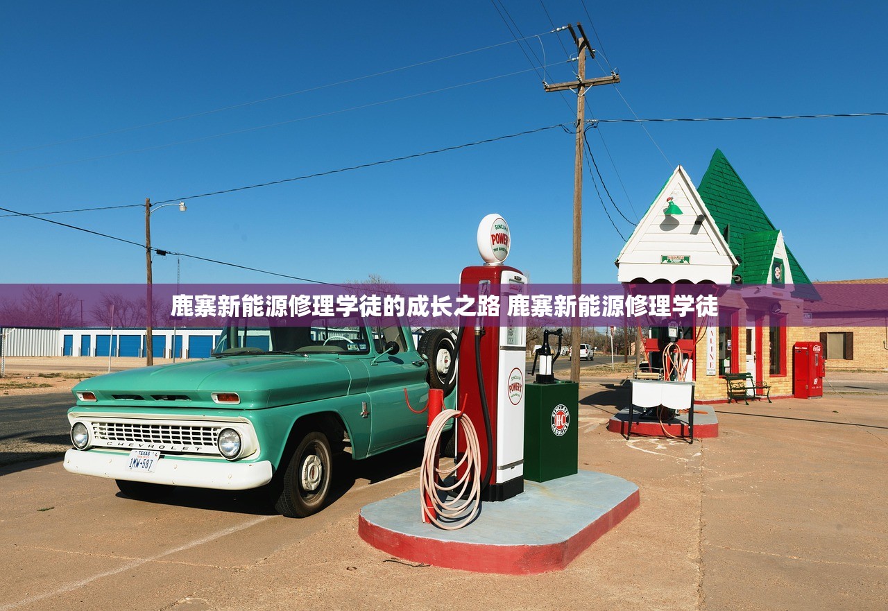 鹿寨新能源修理学徒的成长之路 鹿寨新能源修理学徒 鹿寨新能源修理学徒的成长之路 鹿寨新能源修理学徒