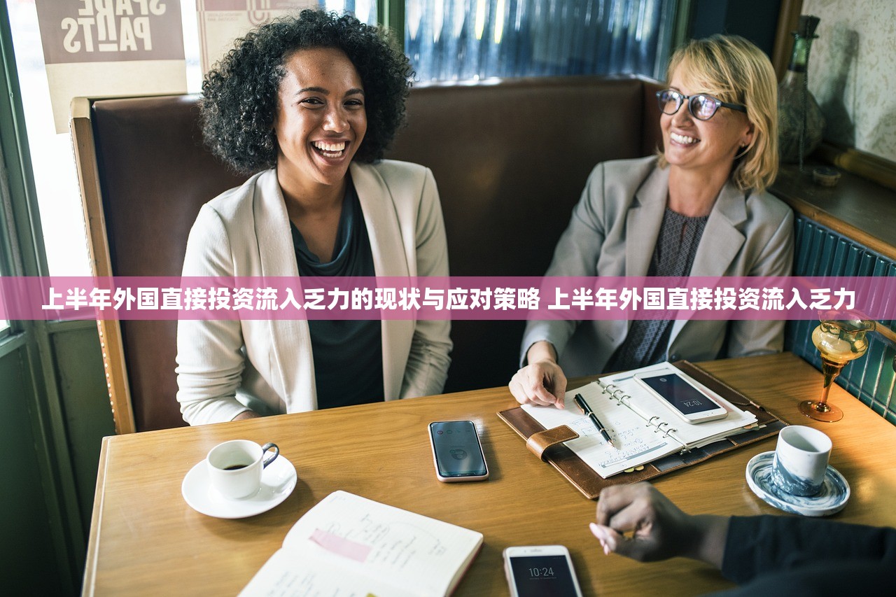 上半年外国直接投资流入乏力的现状与应对策略 上半年外国直接投资流入乏力