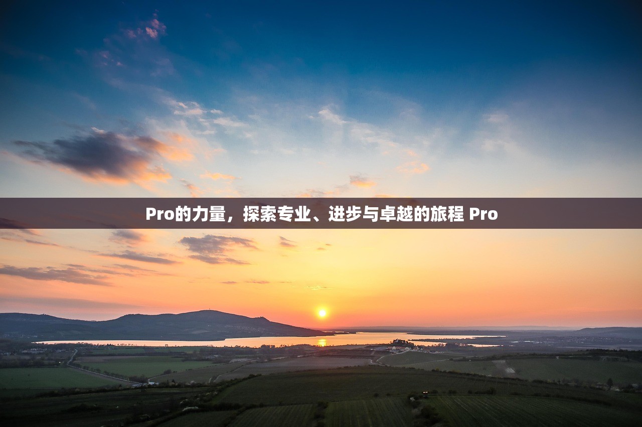 Pro的力量,探索专业、进步与卓越的旅程 Pro Pro的力量,探索专业、进步与卓越的旅程 Pro