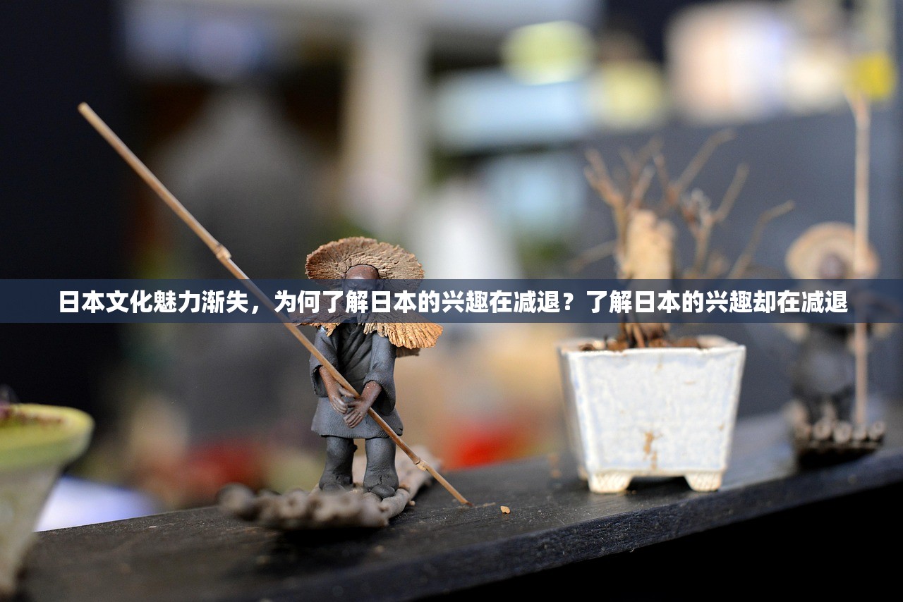 日本文化魅力渐失，为何了解日本的兴趣在减退？了解日本的兴趣却在减退
