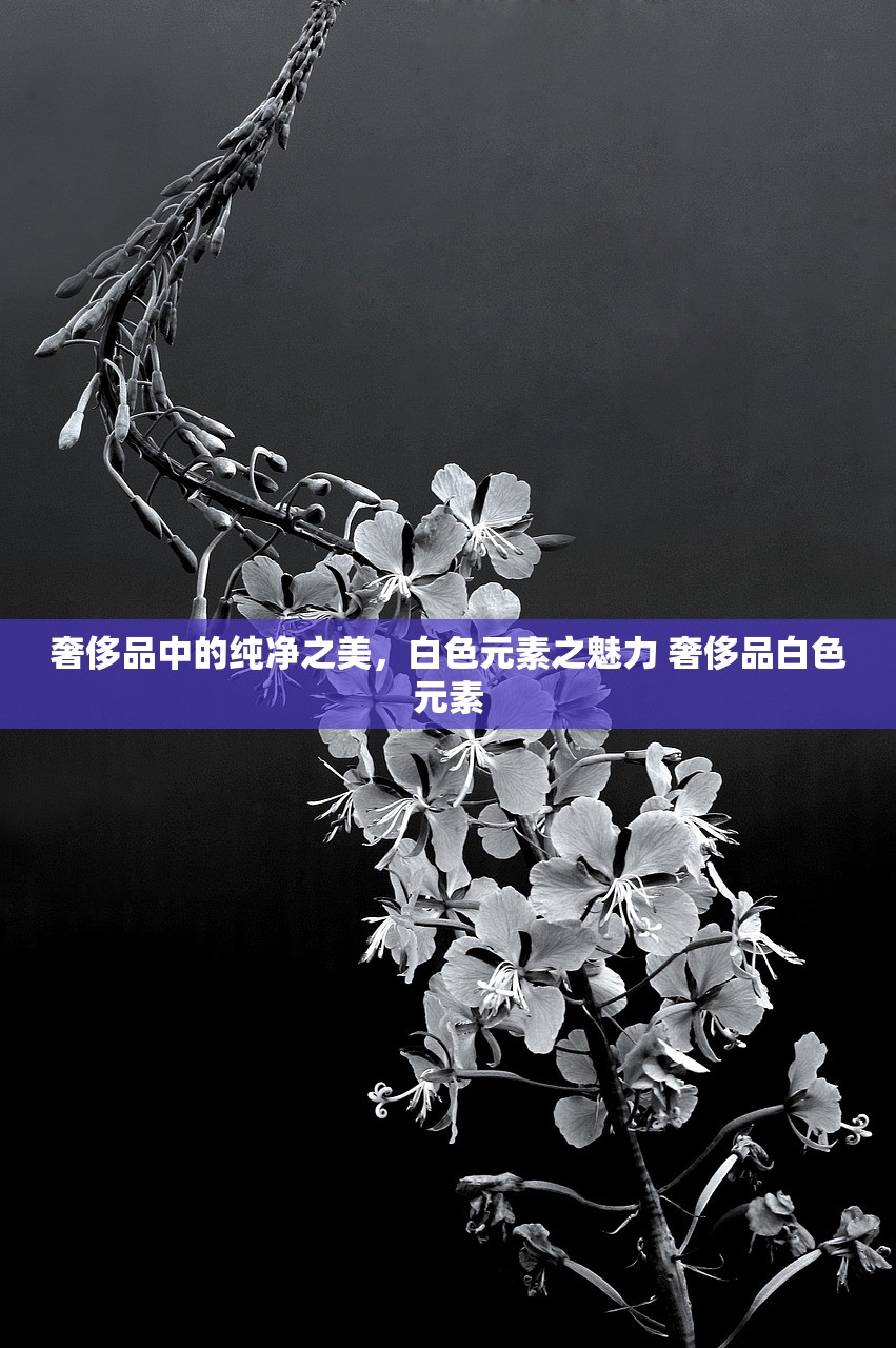 奢侈品中的纯净之美，白色元素之魅力 奢侈品白色元素