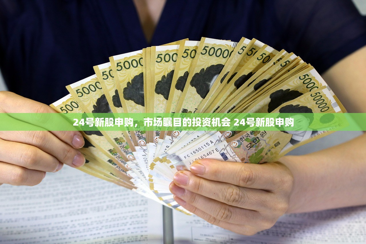 24号新股申购，市场瞩目的投资机会 24号新股申购