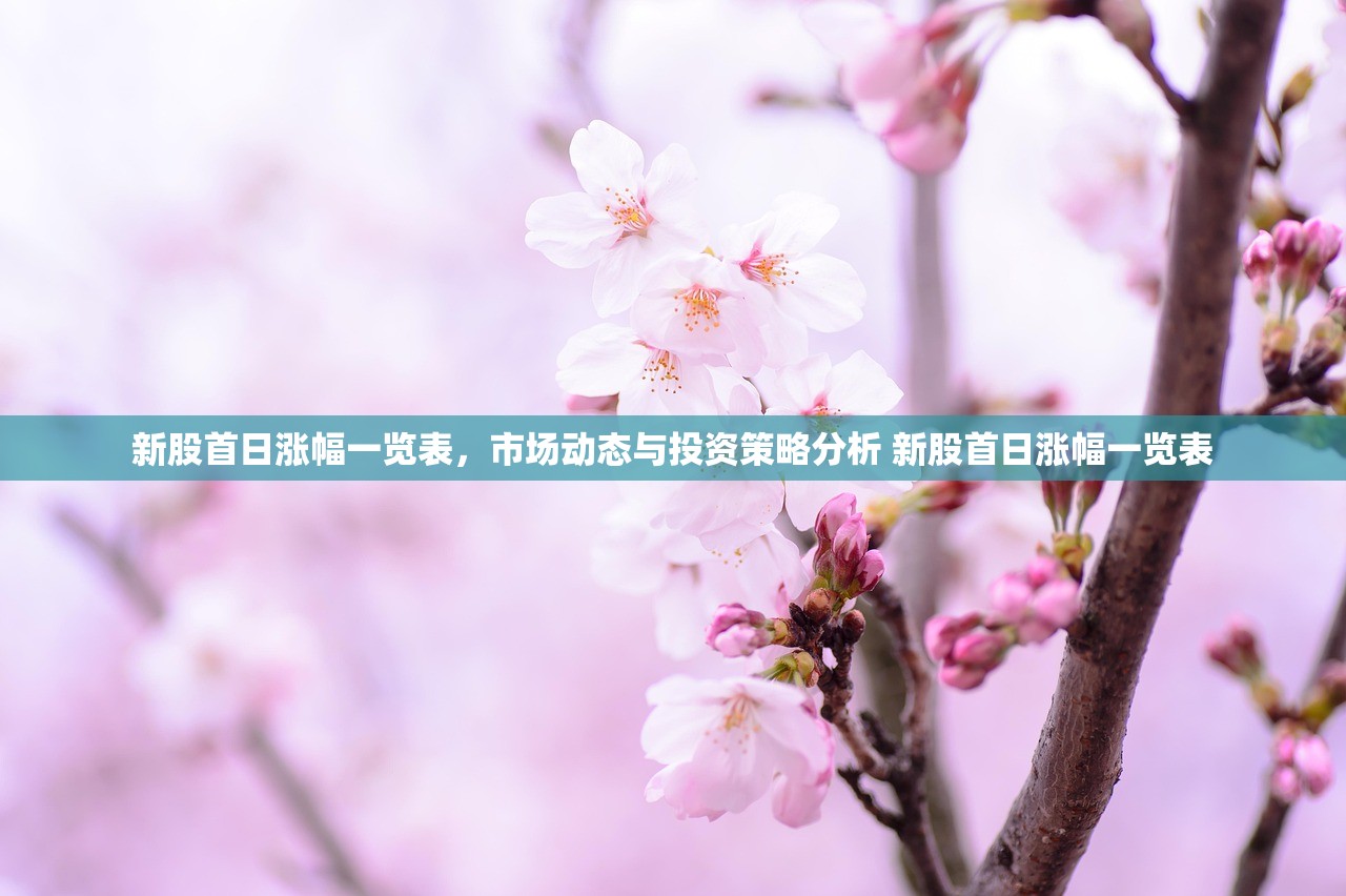 新股首日涨幅一览表,市场动态与投资策略分析 新股首日涨幅一览表 新股首日涨幅一览表,市场动态与投资策略分析 新股首日涨幅一览表