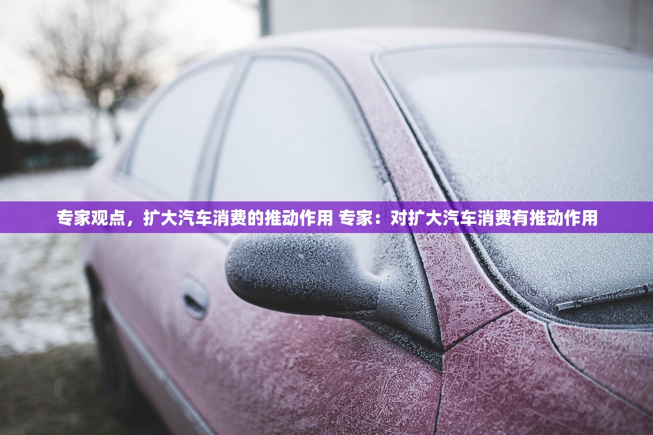 专家观点,扩大汽车消费的推动作用 专家:对扩大汽车消费有推动作用 专家观点,扩大汽车消费的推动作用 专家:对扩大汽车消费有推动作用