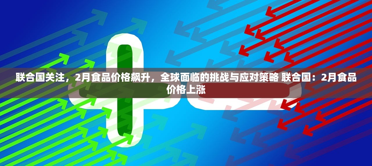 联合国关注,2月食品价格飙升,全球面临的挑战与应对策略 联合国:2月食品价格上涨 联合国关注,2月食品价格飙升,全球面临的挑战与应对策略 联合国:2月食品价格上涨