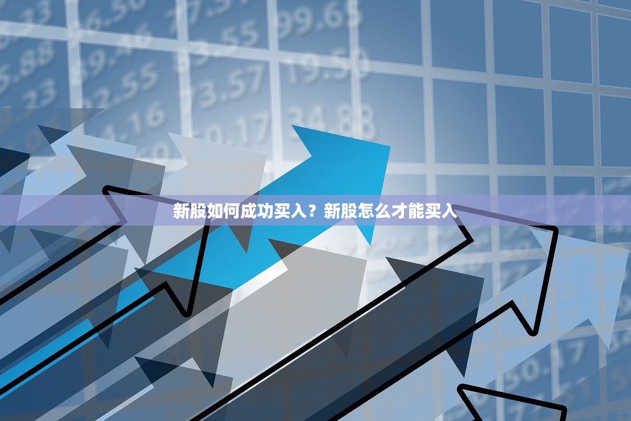 新股如何成功买入?新股怎么才能买入 新股如何成功买入?新股怎么才能买入