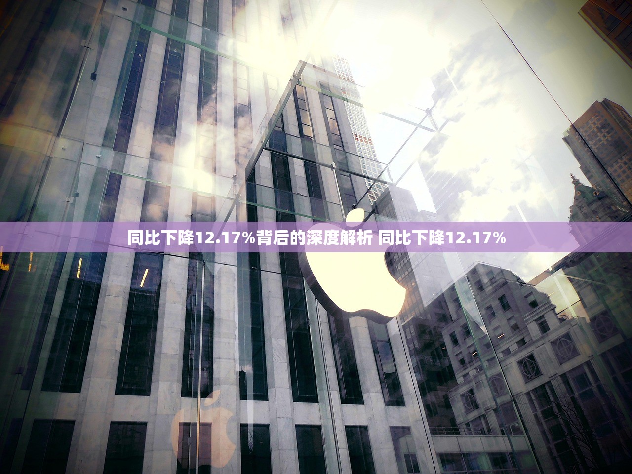 同比下降12.17%背后的深度解析 同比下降12.17%