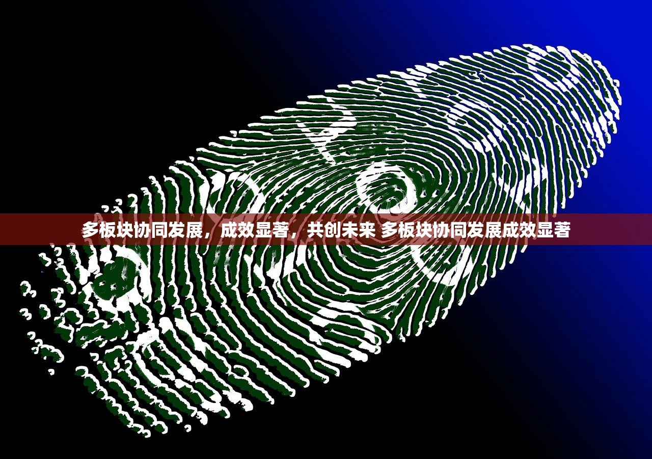 多板块协同发展，成效显著，共创未来 多板块协同发展成效显著