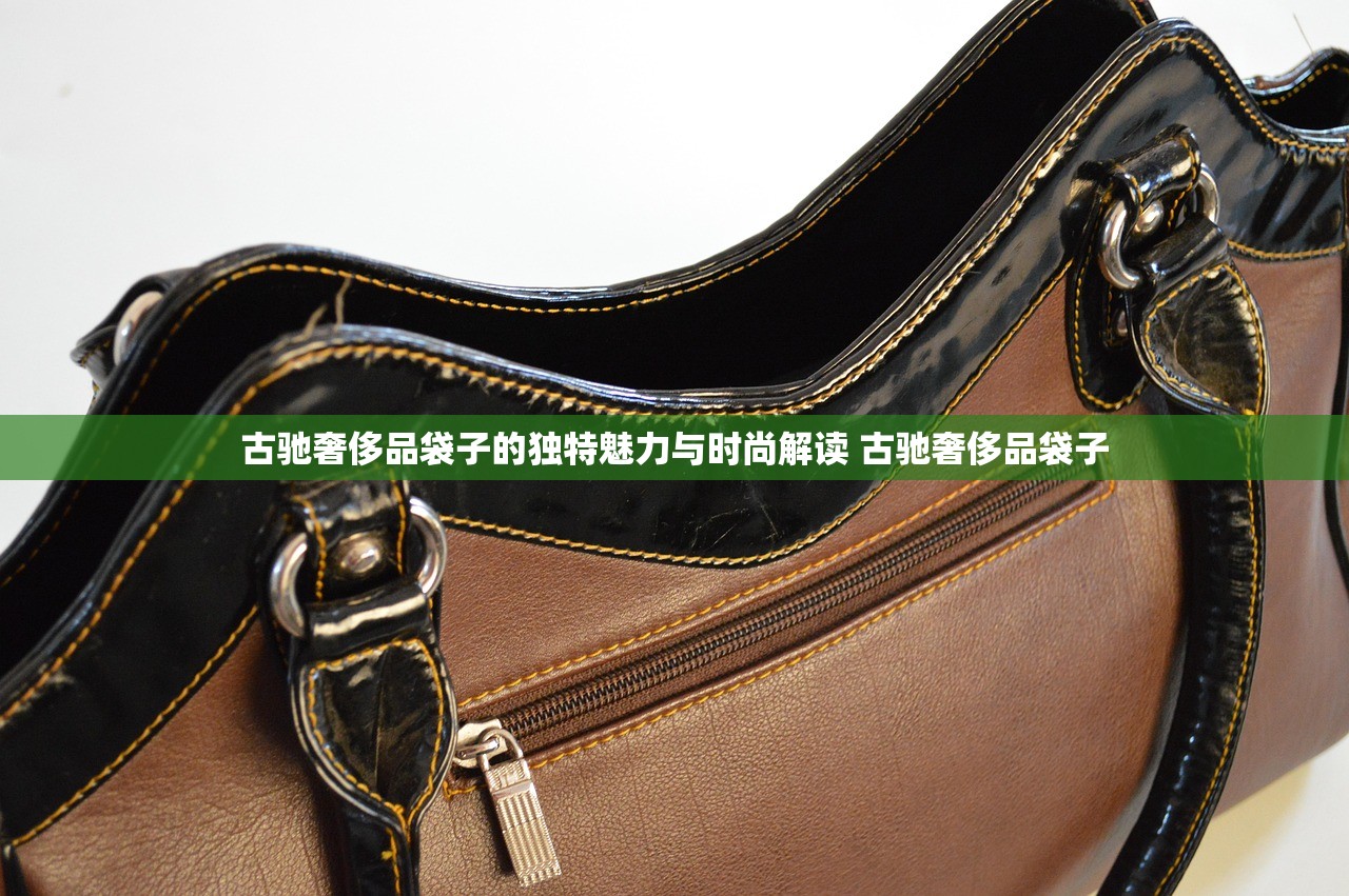 古驰奢侈品袋子的独特魅力与时尚解读 古驰奢侈品袋子 古驰奢侈品袋子的独特魅力与时尚解读 古驰奢侈品袋子