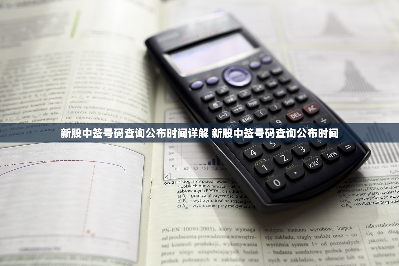 新股中签号码查询公布时间详解 新股中签号码查询公布时间